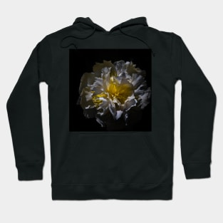 Backyard Flowers 25 Color Version Hoodie